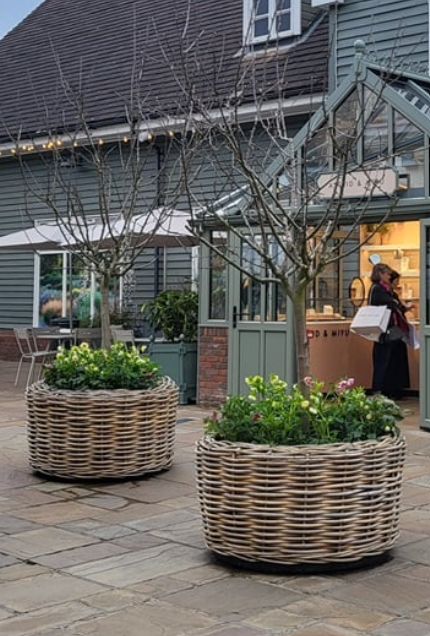 Rattan Basket Planter - Colossal